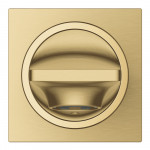 Излив для ванны GROHE Allure, холодный рассвет матовый 