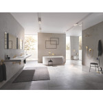 Накладная панель смыва для унитаза GROHE Nova Cosmopolitan, размер S, вертикальная, холодный рассвет 