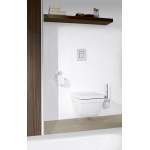 Tуалетный "ершик" в комплекте, GROHE Allure, хром