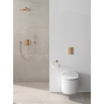 Держатель для туалетной бумаги без крышки GROHE Essentials, тёплый закат матовый 